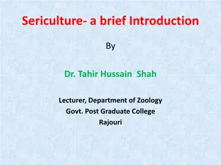 Overview of Sericulture: Silk Production and Varieties