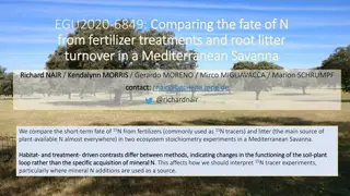 Nitrogen Dynamics in a Mediterranean Savanna Ecosystem