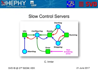 Slow Control Servers and Network Configuration for SVD Management