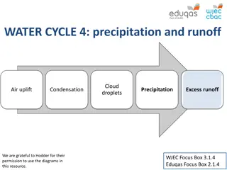 The Water Cycle: Processes and Mechanisms