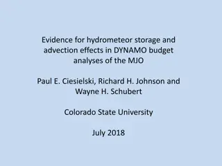 Evidence for Hydrometeor Storage and Advection Effects in DYNAMO Budget Analyses of the MJO