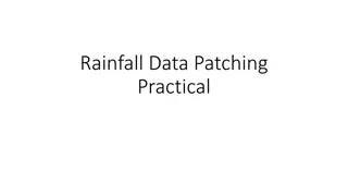 Practical Rainfall Data Patching Techniques for Improved Accuracy