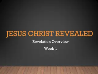 The Book of Revelation: Insights and Perspectives