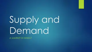 Supply and Demand in the Wheat Market