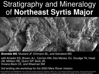 Stratigraphy and Mineralogy of Northeast Syrtis Major