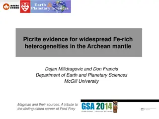 Picrite Evidence for Fe-Rich Heterogeneities in Archean Mantle