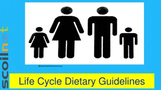 Nutrition Guidelines for a Healthy Life Cycle