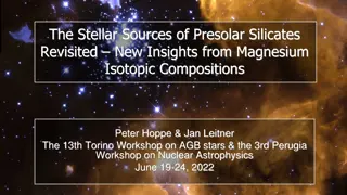 Insights on Presolar Silicates and Magnesium Isotopes