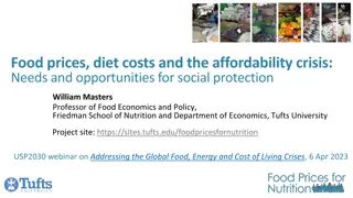 Addressing the Global Food Crisis: Insights on Food Prices, Diet Costs, and Affordability