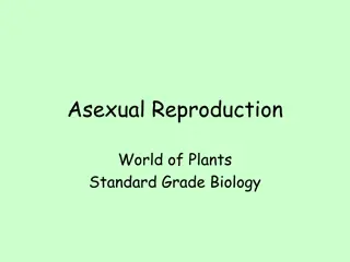 Asexual Reproduction in Plants: Methods and Examples