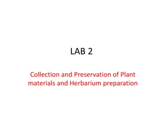 Plant Collection and Preservation Techniques