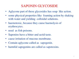 Understanding Saponins and Their Various Types