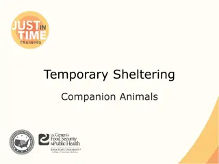 Temporary Sheltering for Companion Animals During Natural Disasters