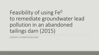 Feasibility of Using Fe0 to Remediate Groundwater Lead Pollution in an Abandoned Tailings Dam