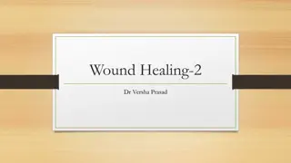 Understanding Wound Healing Process by Secondary Intention