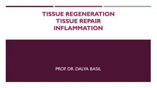 Tissue Regeneration, Repair, and Inflammation Explained