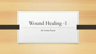 Understanding Wound Healing Processes