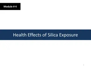 The Health Effects of Silica Exposure