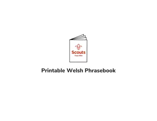 Complete Welsh Phrasebook and Folding Guide