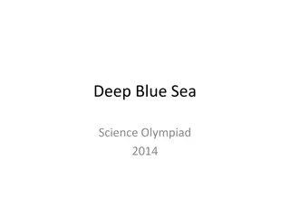 Deep Blue Sea Science Olympiad 2014 - Marine Life Exploration