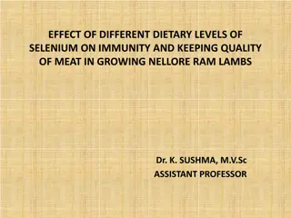 Effect of Selenium Levels on Immunity and Meat Quality in Nellore Ram Lambs