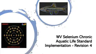 Selenium Chronic Aquatic Life Standard Implementation Revision 4