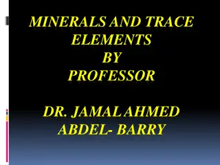 Overview of Minerals and Trace Elements in Human Nutrition