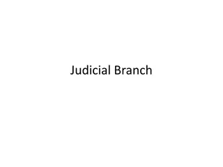 Insights into the American Judicial Branch