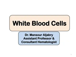 Hematopoiesis and White Blood Cells in Blood Formation Process