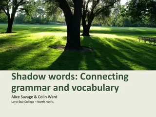 Exploring Vocabulary and Grammar Connection