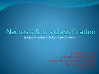 Understanding Necrosis: Causes, Characteristics, and Differences from Autolysis