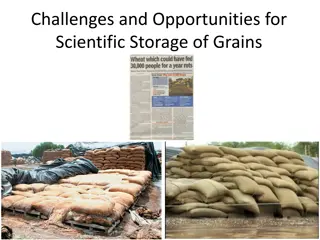 Challenges and Opportunities in Scientific Storage of Grains