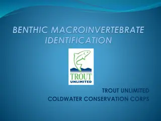 Coldwater Conservation Techniques for Monitoring Water Quality in Trout Habitats