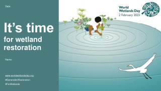 Restoring Wetlands: Vital for Our Future