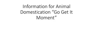 Insights into Animal Domestication: From Symbiosis to Definition