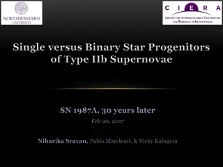 Unveiling the Progenitors of Stripped Envelope Supernovae (SNe)