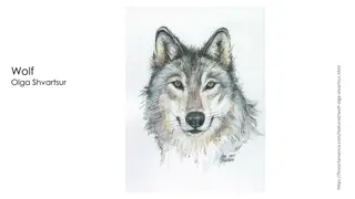 Stunning Collection of Wolf Artwork from Various Artists