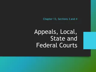 Appeals and Court Systems: Chapter 13 Overview