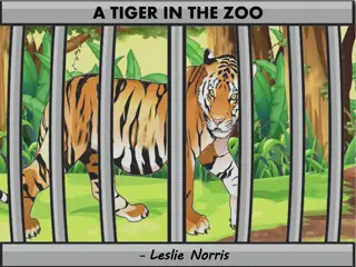 The Agony of a Caged Tiger - Poem Analysis