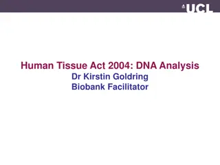 The Human Tissue Act 2004 and DNA Analysis