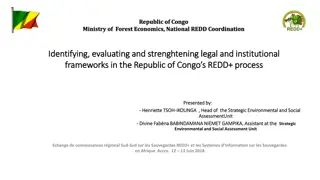 Strengthening Legal and Institutional Frameworks for REDD+ in Republic of Congo