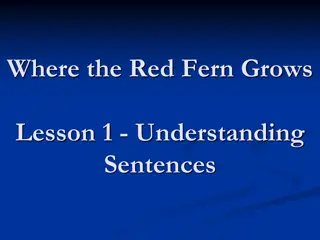 Understanding Complete and Incomplete Sentences in Where the Red Fern Grows Lesson 1