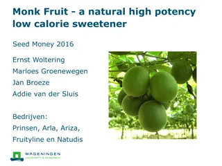 Opportunities in Monk Fruit Production and Processing for Sustainable Business Growth