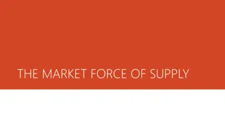 Understanding the Market Force of Supply