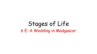 A Wedding Celebration in Madagascar