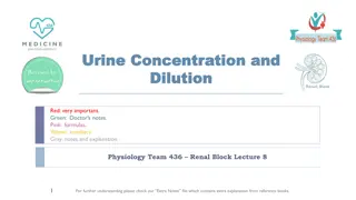 Understanding Urine Concentration Mechanisms in the Renal System