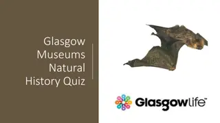 Fascinating Natural History Quiz from Glasgow Museums