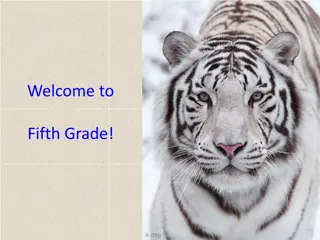 Welcome to Fifth Grade - Information and Guidelines