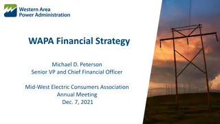 Financial Strategy for Reliability and Cost Management in the Electric Power Sector