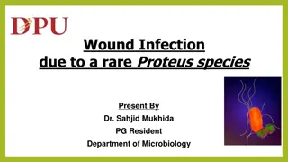 Rare Proteus Species Wound Infection: Case Study and Management